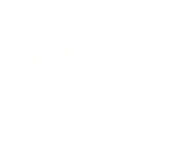 BrainTrain_Logo_Light